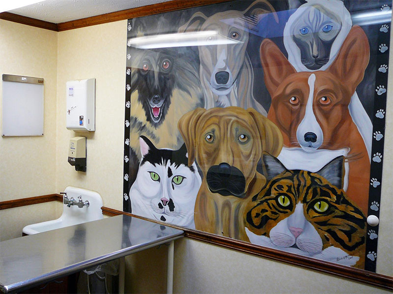 Amsterdam NY veterinary hospital