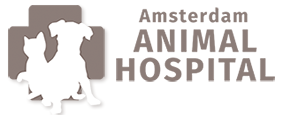 Amsterdam Animal Hospital