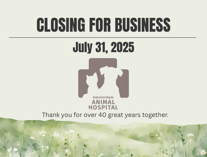 Amsterdam Animal Hospital to Close After 44 Years of Service