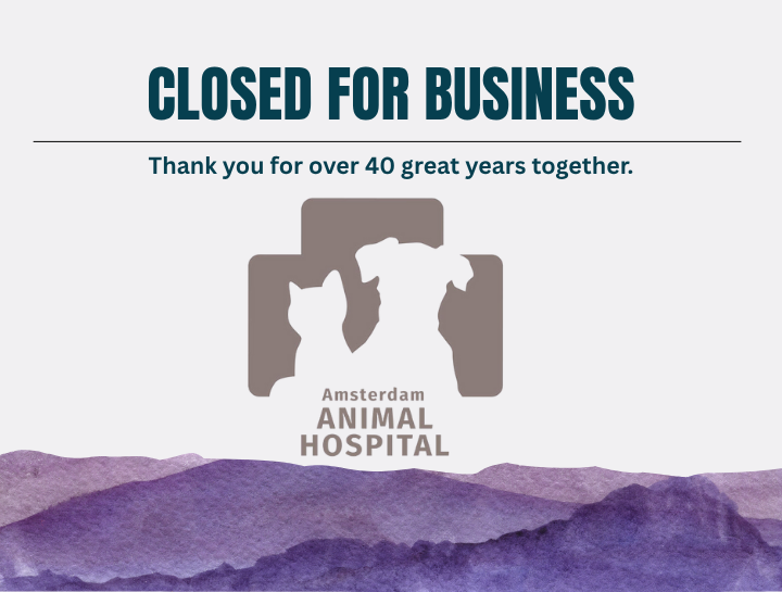 Amsterdam Animal Hospital Is Closed After 44 Years of Service
